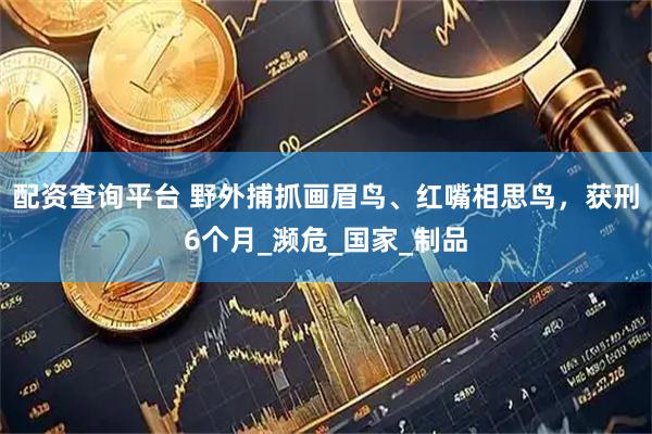 配资查询平台 野外捕抓画眉鸟、红嘴相思鸟，获刑6个月_濒危_国家_制品